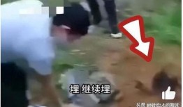 缅北爆料视频是真的假的,真相还是谣言？