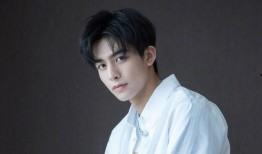 娱乐圈爆料君宋威龙小说,宋威龙背后的秘密风云